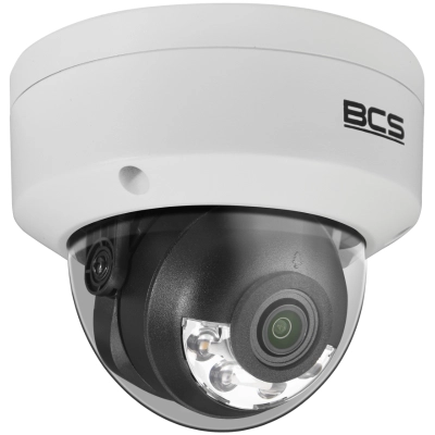 BCS-V-DIP24FSR3L3-AI1(2)