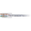 Wtyk przelotowy RJ45T [100szt.]