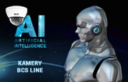 inteligentne-kamery-bcs