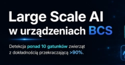 large-scale-AI-bcs-miniaturka